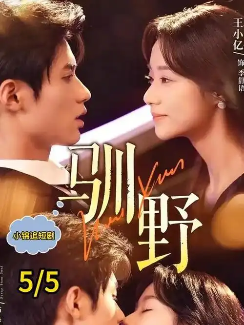 山海归途 冒险剧全集在线观看